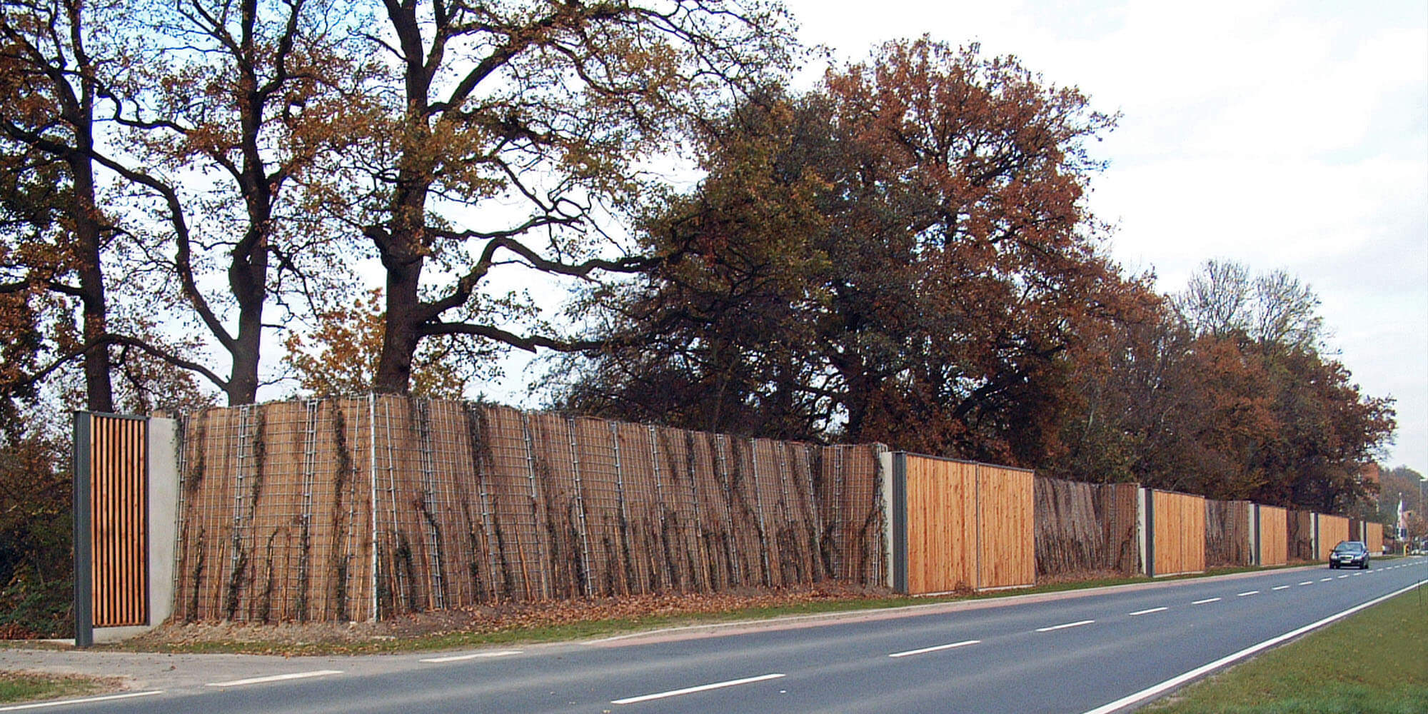 Begrünte Lärmschutzwand mit Holzelementen
